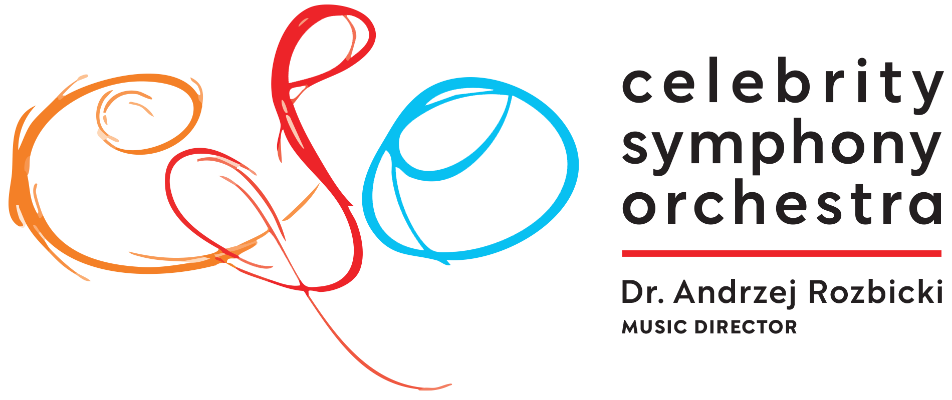 CSO LOGO 2