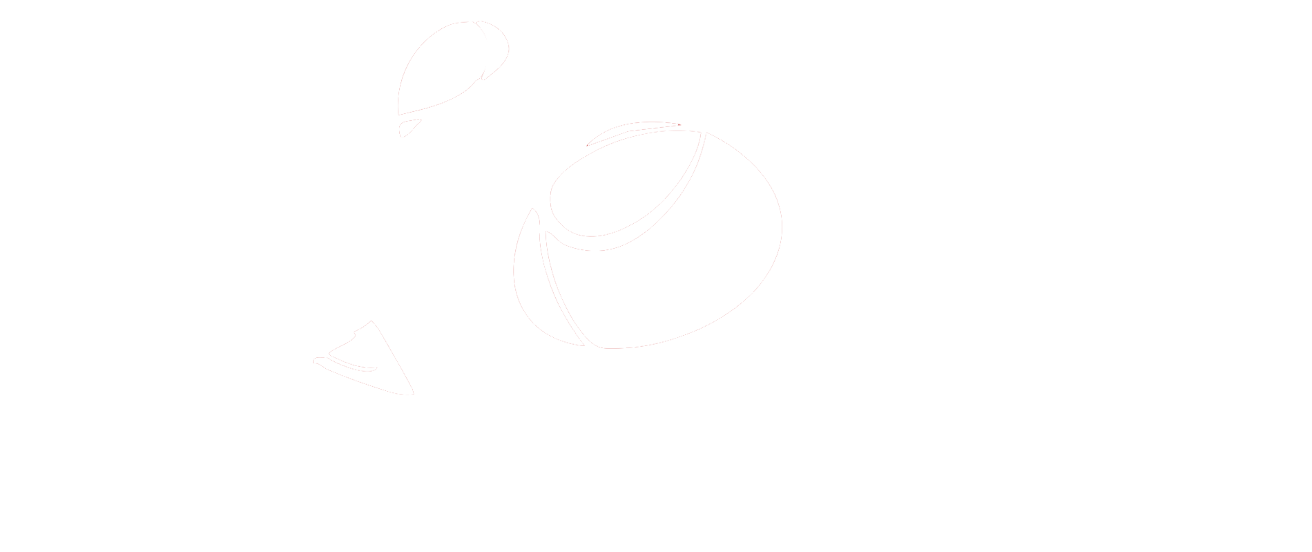 CSO LOGO